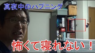 【閲覧注意】動画編集してたら部屋にモンスターが現れた！