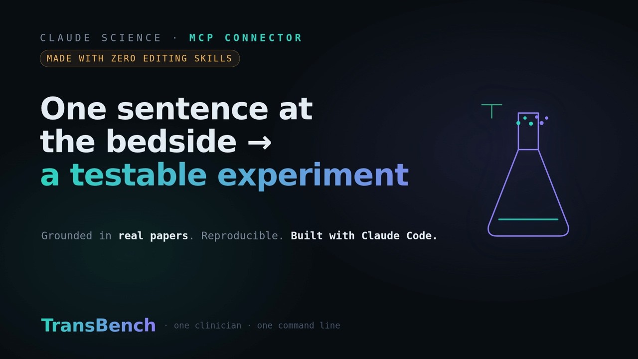 TransBench project preview