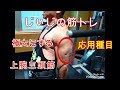《じぃじの筋トレ》減量期!上腕三頭筋を極太にする!応用種目!!!