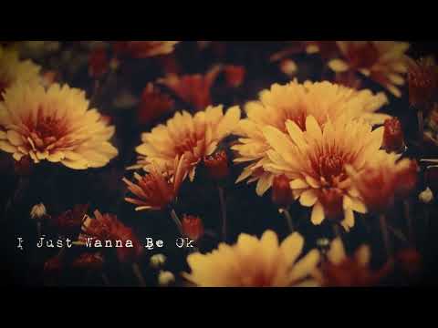 Peter Raffoul - I Just Wanna Be Ok (Visualizer)