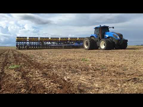 Tatu Marchesan USAP Suprema 50 linhas