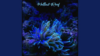 Mellow Reef (feat. Gatz2Gatz)