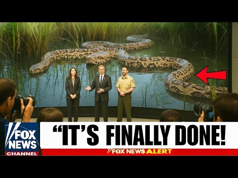 Florida Released An ARMY Of Snake-Killing Predators—The Results Will Shock You