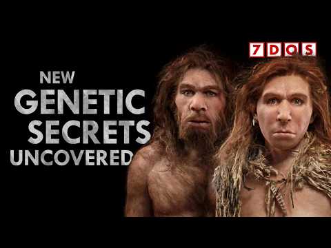 What the Genetics Reveal About Neanderthal Interbreeding