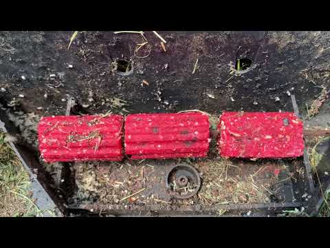 Not Rodents But Ants Found in Bait Station in Jackson, NJ