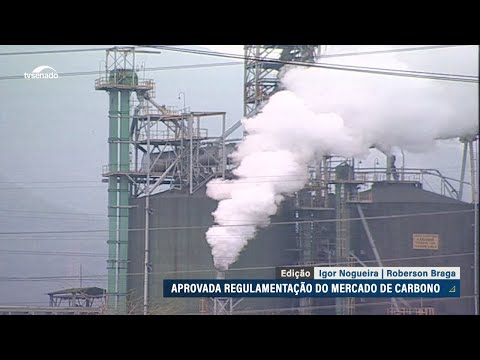 Regulamentação do mercado de carbono volta à Câmara
