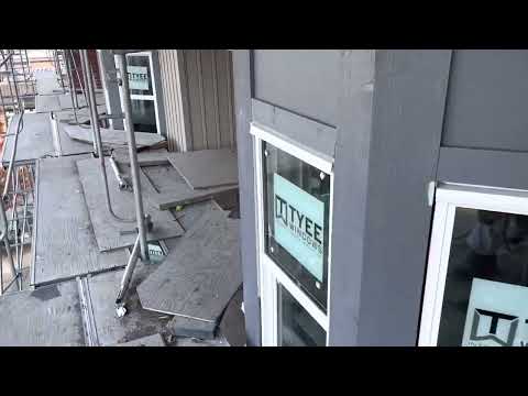 Frog clan painting group video.