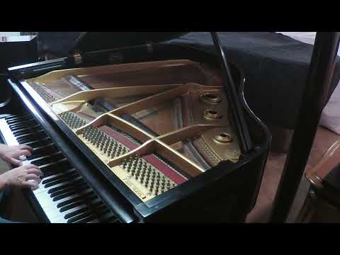 Pure Musical Magic - Gleaming Kawai Grand image 6