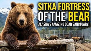 Visiting Alaska's Fortress of the Bear | Vlog Style