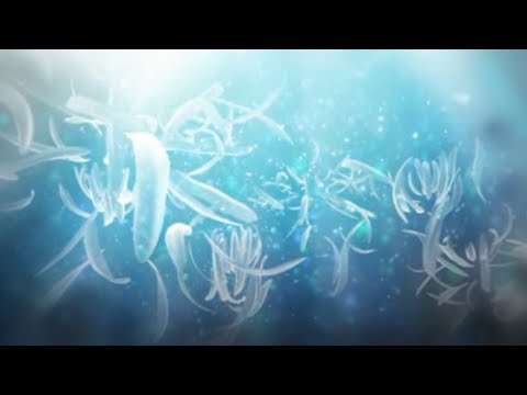 『Reversus』ELECTROCUTICA with Orchestra