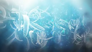 Reversus / ELECTROCUTICA