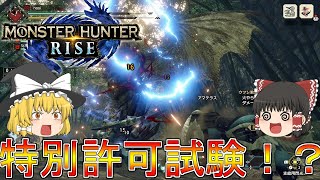 【MHR】ぼっちハンターがいくモンハンライズ！【ゆっくり実況】part18