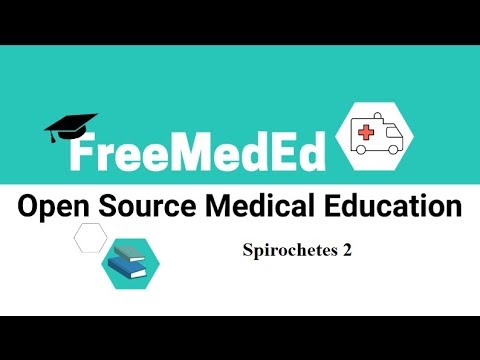 Bacteria 7B: Spirochetes- Treponema, Borrelia, Leptospira (Presentation)