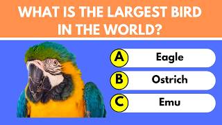 Think You’re Smart? Try This General Knowledge Quiz Multiple Choice!