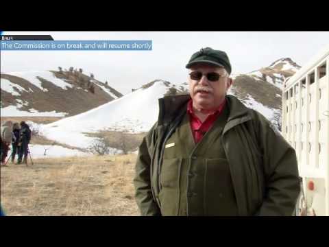 WGF Commission 9/7/2016 Afternoon Edition