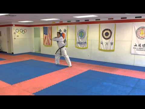 Taekwondo Forms Poomsae Sipjin - 5th Degree Black Belt Form