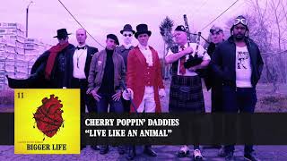 Cherry Poppin' Daddies -  Live Like An Animal [Audio]
