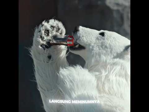 KEBUN BINATANG INI BOHONG! TERNYATA SEMUA HEWANNYA MANUSIA 😱