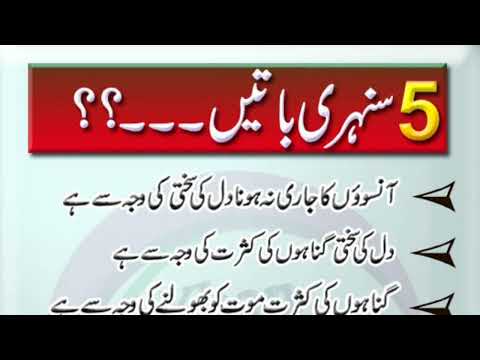 5 Sunehri Baatein (Beautiful Words) Sardar Voice