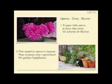 Russisch lernen mit Spaß - Wortschatz zum Thema "Sommer" - Russisch-Erleben.de