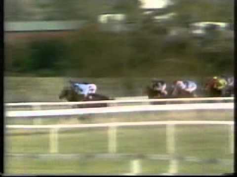 Horse Racing 1985 Triumph Hurdle Cheltenham