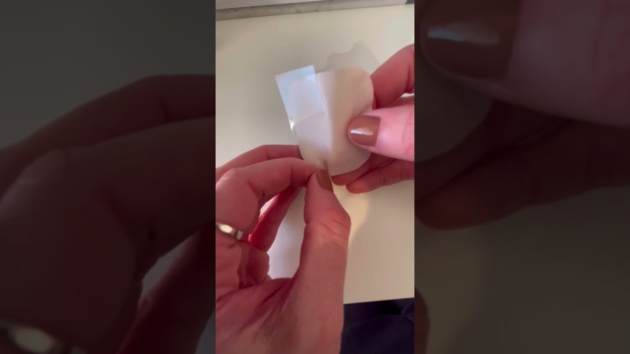 Barbara Bevilacqua Zeiger-7