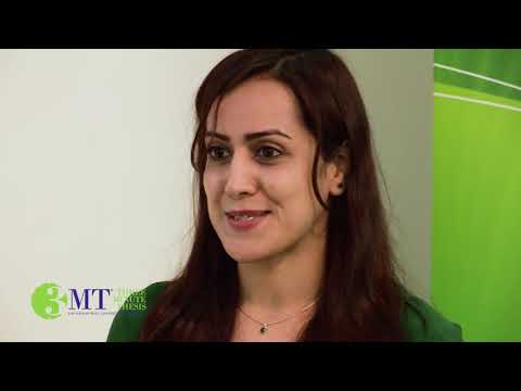 2017 3MT Finals - Samira Zare