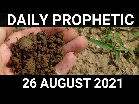 Daily Prophetic 26 August 2021 4 of 7