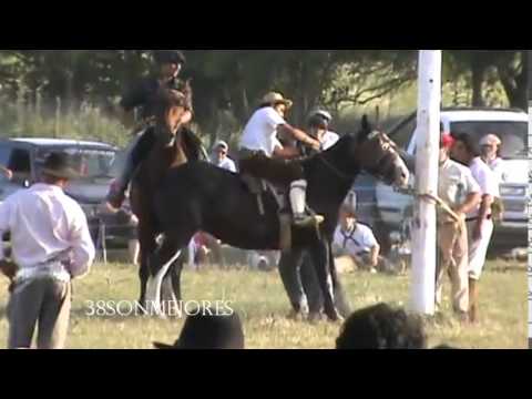 Reservado El Expreso | El Indio Pampa