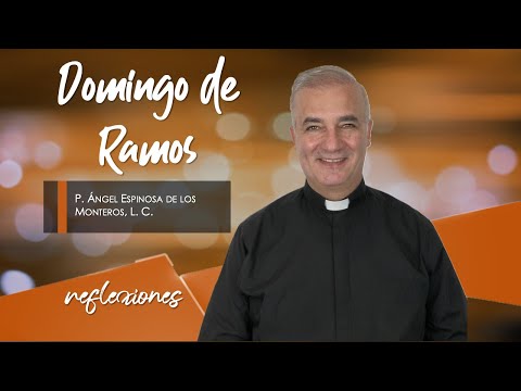 Palm Sunday - Father Ángel Espinosa de los Monteros