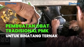 Menilik Cara Pembuatan Obat Tradisional PMK pada Hewan Ternak oleh Warga Nagari III Koto Aur Malinta