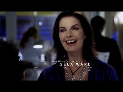 CSI NY - Opening Theme Season 1-9