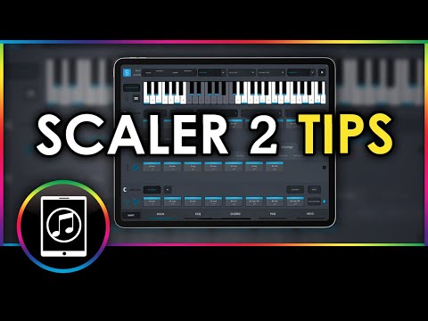 9 Useful Scaler 2 Tips For The iPad — Audiobus Forum