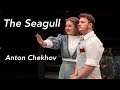 The Seagull