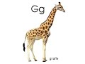 Geoffrey S Animal Alphabet But The Audio Is See Sing