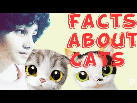 #factsaboutcats | #amazingfacts special | Navita's thoughts and amazing facts