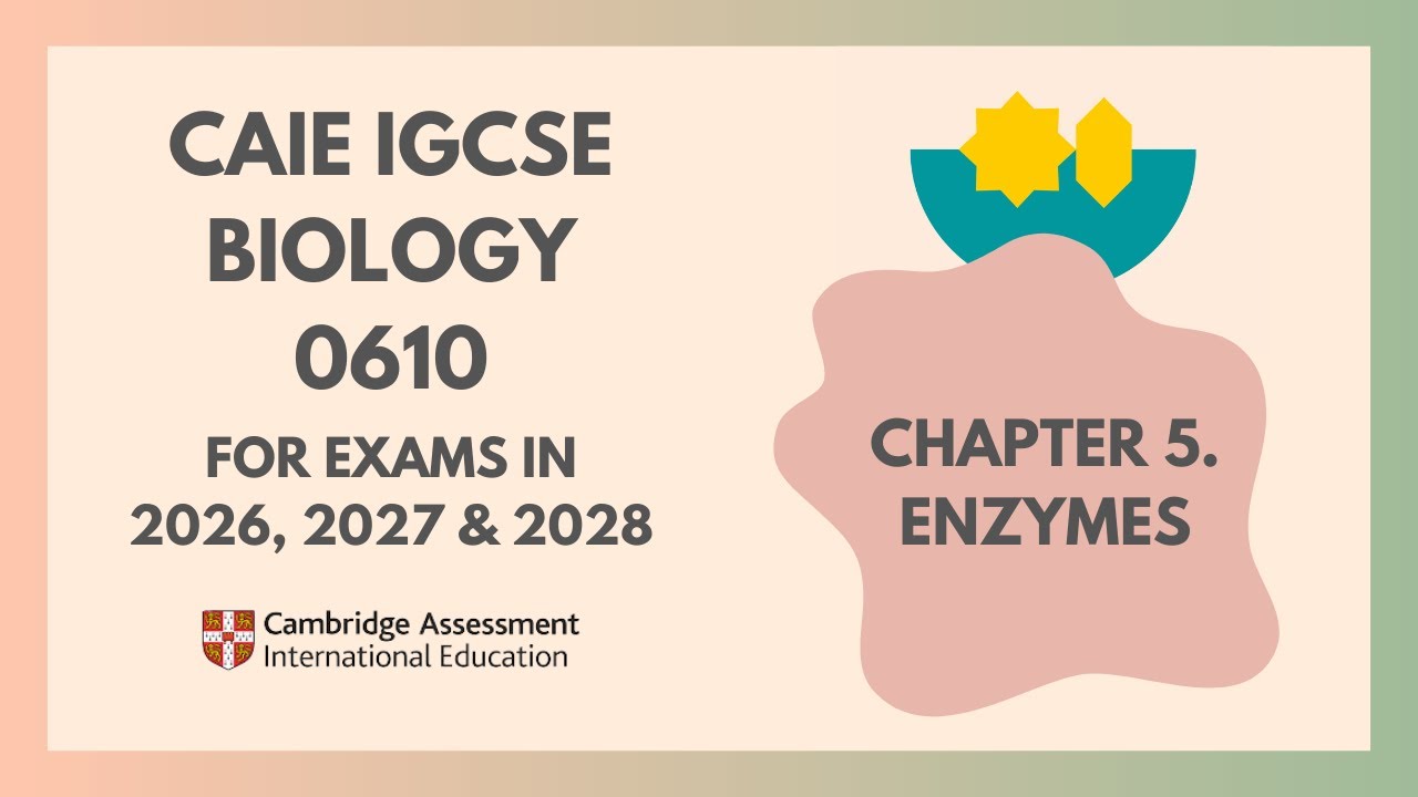 5. Enzymes (Cambridge IGCSE Biology 0610 for exams in 2023, 2024 and 2025) @IGCSEStudyBuddy