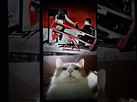 My Luck #trollface #funny #memes #humor #xd