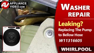 Washer Leaking Water - Pump Hose Issues - Diagnostic & Repair by Factory Technician