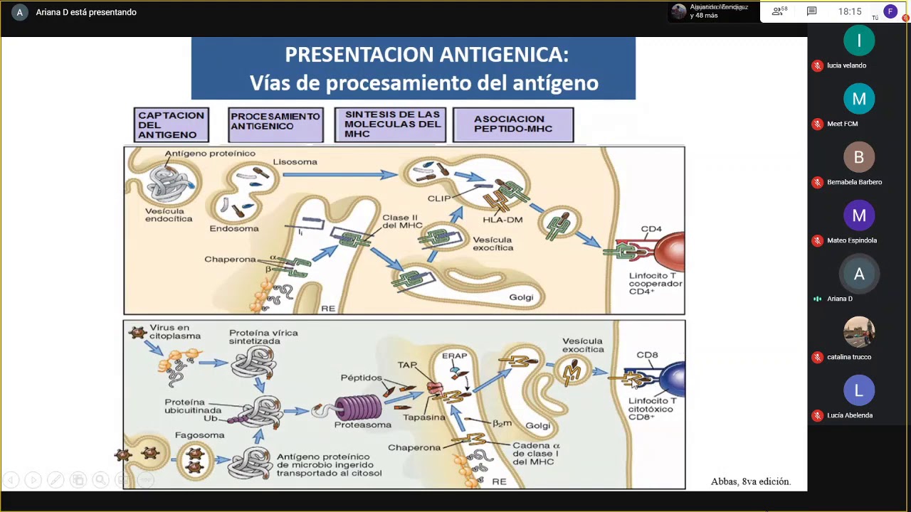 DEFENSA Seminario Inmunologia- Respuesta adaptativa celular. Dr. Ariana Diaz