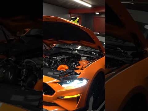 2020 Mustang Gt | ESS G3r-93 | 100mm Pulley DYNO!