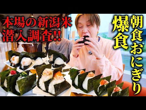 【大食い】新潟県のおにぎり屋へ潜入‼︎新潟米コシヒカリがヤバすぎて朝から食べる手を止められない...。【ぞうさんパクパク】【にぎり米】