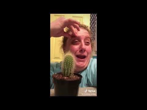 Christines_Snaps - Cactus TikTok