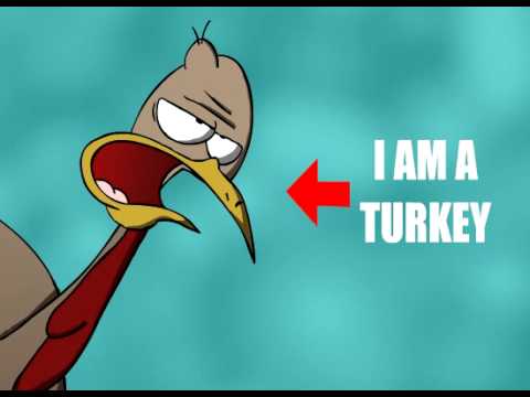 Video thumbnail for Turkeys