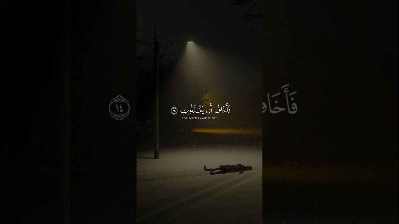 "رسالة طمأنينة لكل قلب ضاق صدره.. تلاوة خاشعة من سورة الشعراء ✨🌿"