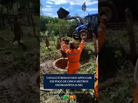 CAVALO É RESGATADO APÓS CAIR EM POÇO DE CINCO METROS EM BRASÓPOLIS/MG