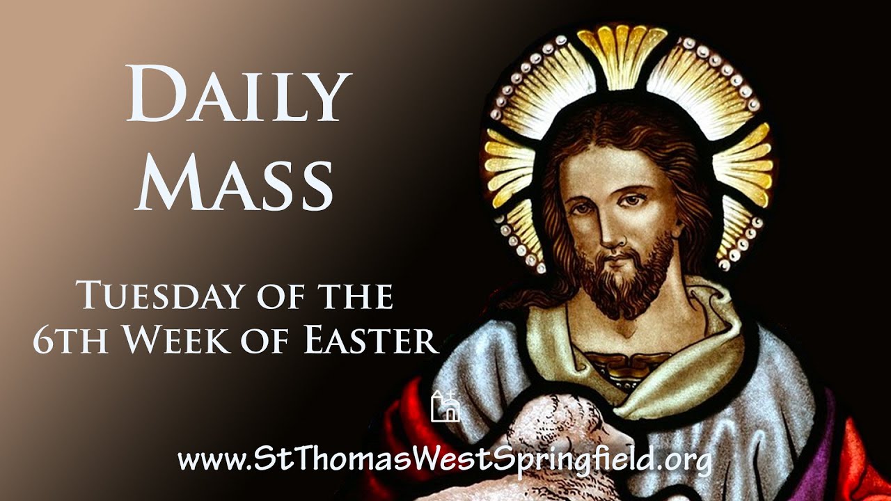 Catholic Daily Mass Online for Tuesday 11 May 2021 Catholic Daily Mass Online for Tuesday 11 May 2021