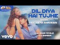 Dil Diya Hai Tujhe Best Audio Song Om Attin Bhalla Sandali Sinha KK Hema Sardesai