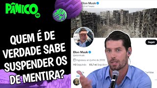 Conquista de Mariupol é a única verificada por Elon Musk em meio à onda de contas no Twitter?