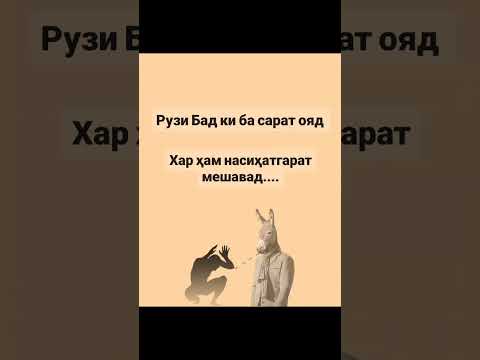 Хар ҳам насиҳатгар мешавад 🤷🏻‍♂️ #россия #таджикистан #дуэт #дустониазиз #покажимнелюбовь